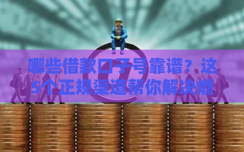 哪些借款口子号靠谱？这5个正规渠道帮你解决燃眉之急！