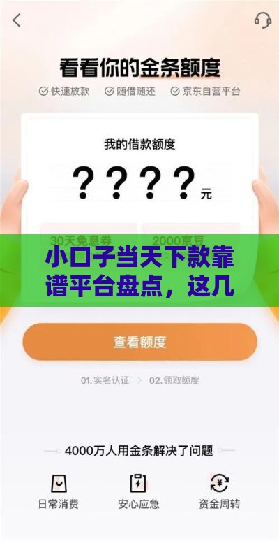 小口子当天下款靠谱平台盘点，这几个渠道审核快、到账稳！