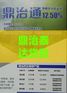 鼎治泰达贷款逾期咋办？3招教你化解危机