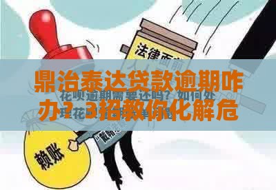 鼎治泰达贷款逾期咋办？3招教你化解危机