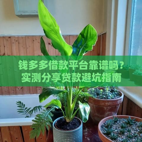 钱多多借款平台靠谱吗？实测分享贷款避坑指南