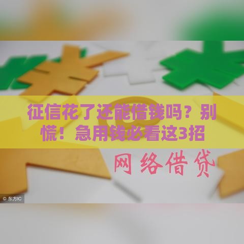 征信花了还能借钱吗？别慌！急用钱必看这3招