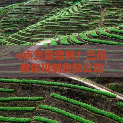 e点贷靠谱吗？三招教你辨别贷款公司是否正规！