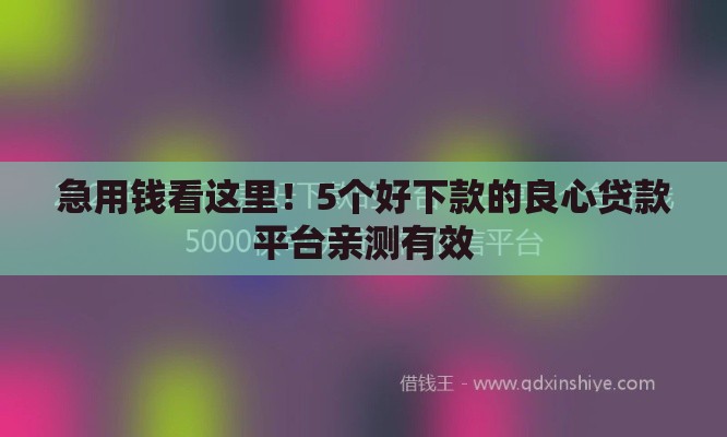 急用钱看这里！5个好下款的良心贷款平台亲测有效