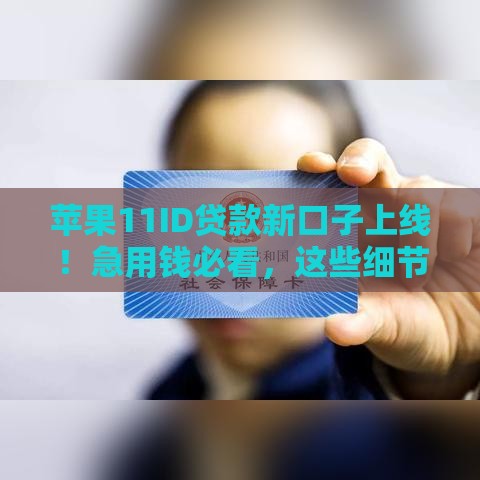 苹果11ID贷款新口子上线！急用钱必看，这些细节要注意