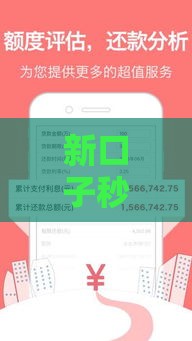 新口子秒批小额贷款怎么申请？这5个关键点必须掌握