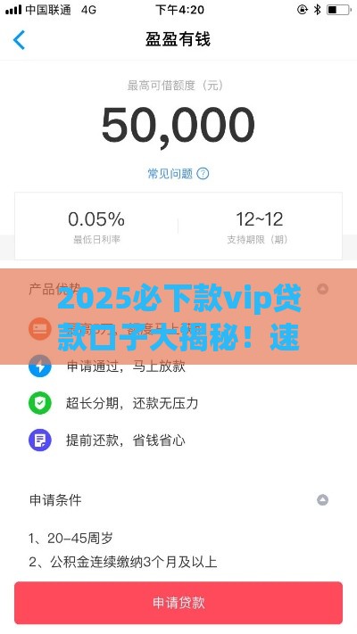 2025必下款vip贷款口子大揭秘！速看攻略