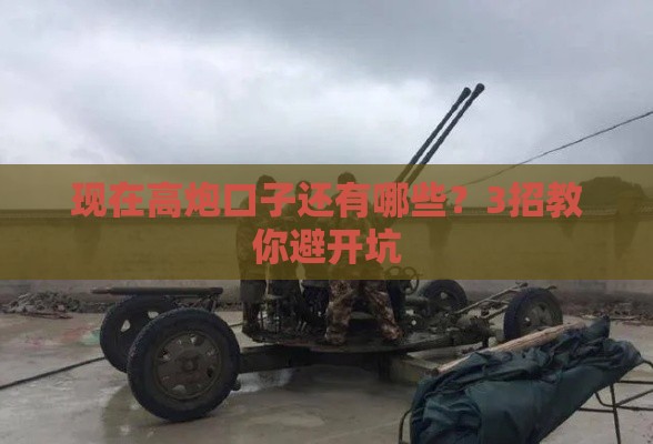 现在高炮口子还有哪些？3招教你避开坑