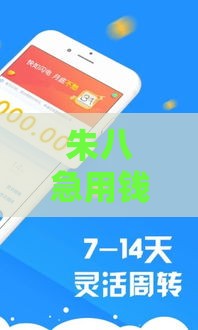 朱八急用钱老哥支招！贷款选哪个口子最靠谱？