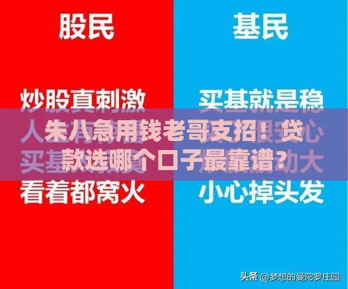朱八急用钱老哥支招！贷款选哪个口子最靠谱？