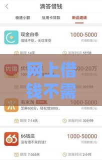 网上借钱不需审核秒到账？这些平台真的正规吗