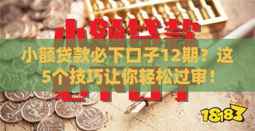 小额贷款必下口子12期？这5个技巧让你轻松过审！