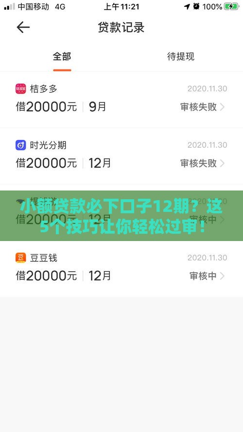 小额贷款必下口子12期？这5个技巧让你轻松过审！
