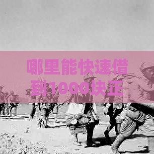 哪里能快速借到1000块正规渠道盘点