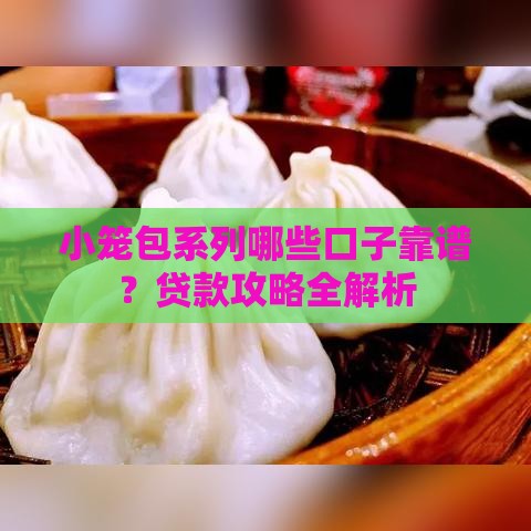 小笼包系列哪些口子靠谱？贷款攻略全解析