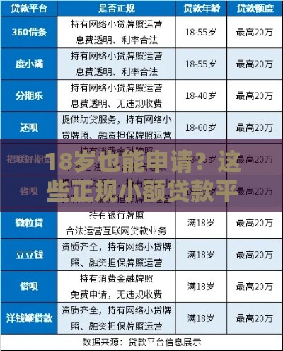 18岁也能申请？这些正规小额贷款平台你知道吗？
