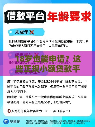 18岁也能申请？这些正规小额贷款平台你知道吗？
