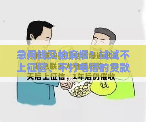 急用钱又怕麻烦？试试不上征信、不打电话的贷款新选择！