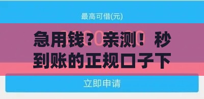 急用钱？亲测！秒到账的正规口子下载入口在这