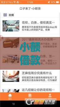 小额借款有哪些靠谱口子？这些渠道快速到账