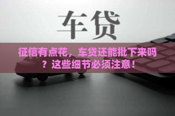 征信有点花，车贷还能批下来吗？这些细节必须注意！