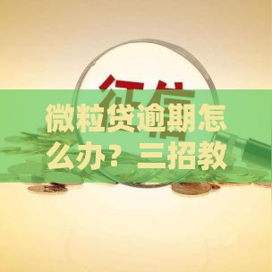 微粒贷逾期怎么办？三招教你化解危机不伤征信