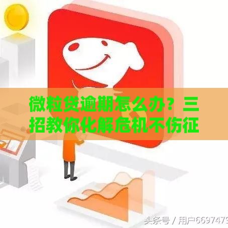 微粒贷逾期怎么办？三招教你化解危机不伤征信