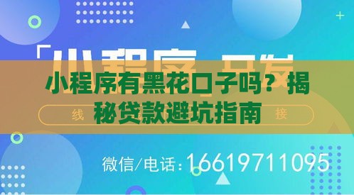 小程序有黑花口子吗？揭秘贷款避坑指南