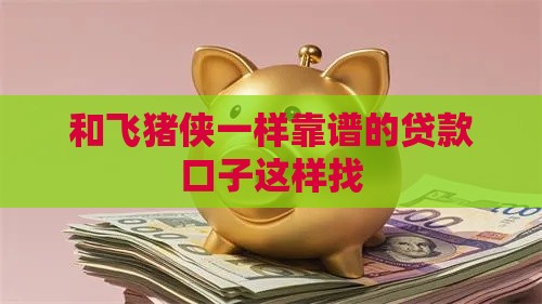 和飞猪侠一样靠谱的贷款口子这样找