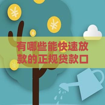 有哪些能快速放款的正规贷款口子？
