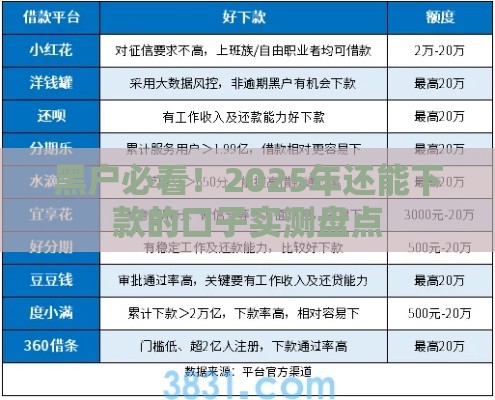 黑户必看！2025年还能下款的口子实测盘点