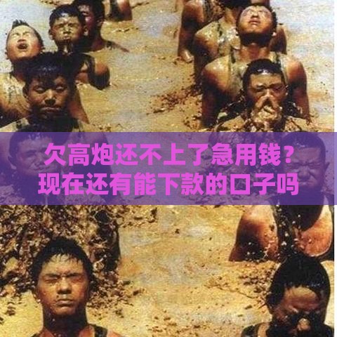 欠高炮还不上了急用钱？现在还有能下款的口子吗