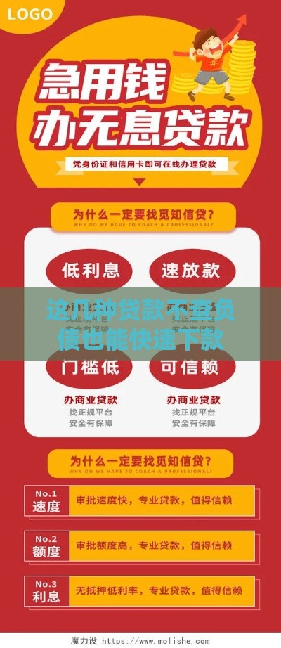 这几种贷款不查负债也能快速下款