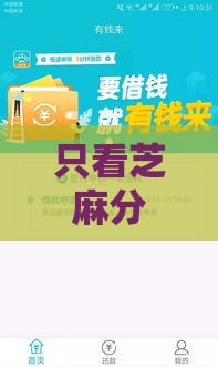 只看芝麻分的贷款口子实测，低分也能快速下款