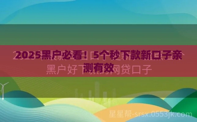 2025黑户必看！5个秒下款新口子亲测有效