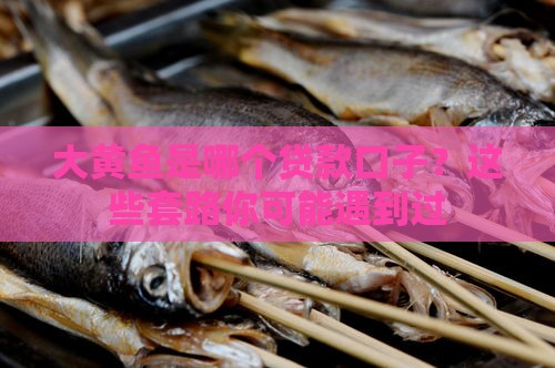 大黄鱼是哪个贷款口子？这些套路你可能遇到过