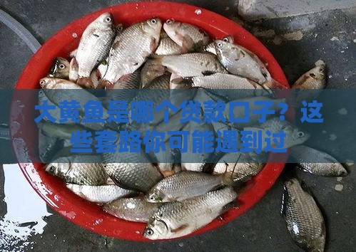 大黄鱼是哪个贷款口子？这些套路你可能遇到过