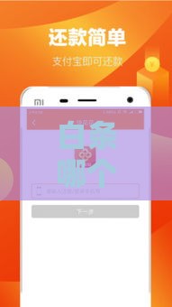 白条哪个口子好下款？这5个平台通过率高、放款快！