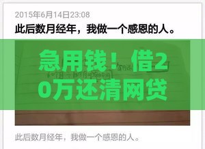 急用钱！借20万还清网贷？过来人教你避坑选对方案