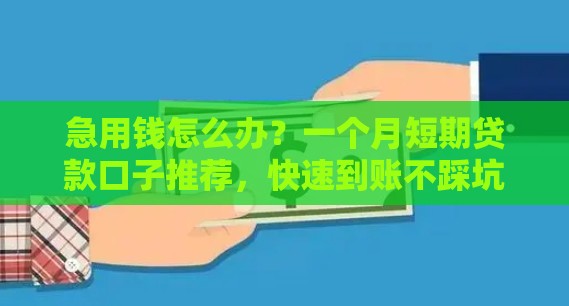 急用钱怎么办？一个月短期贷款口子推荐，快速到账不踩坑！