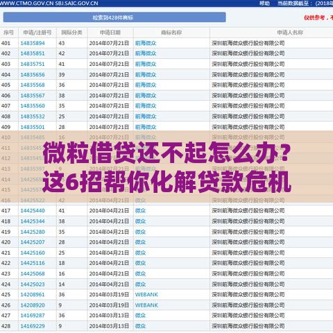 微粒借贷还不起怎么办？这6招帮你化解贷款危机！