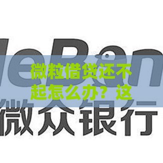 微粒借贷还不起怎么办？这6招帮你化解贷款危机！