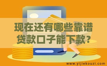 现在还有哪些靠谱贷款口子能下款？手把手教你避坑