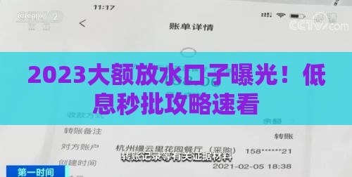 2023大额放水口子曝光！低息秒批攻略速看