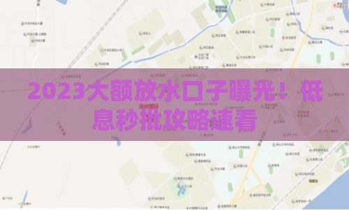 2023大额放水口子曝光！低息秒批攻略速看