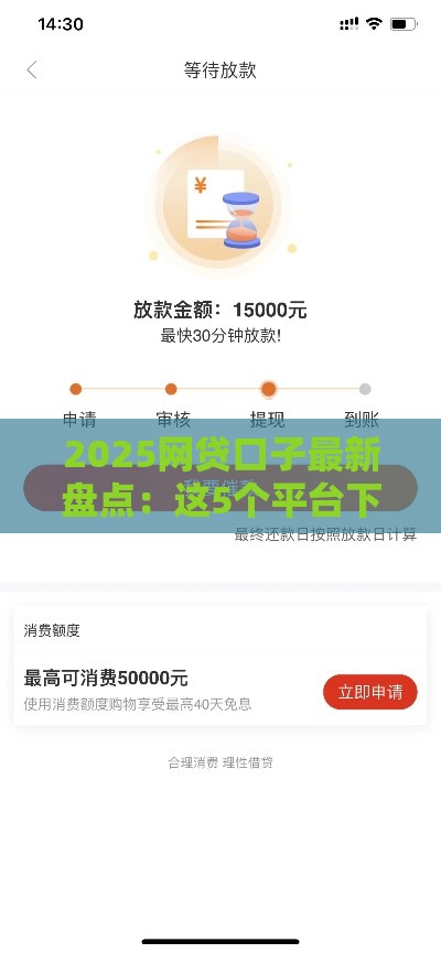 2025网贷口子最新盘点：这5个平台下款快、审核松，