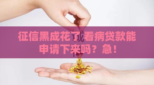 征信黑成花了 看病贷款能申请下来吗？急！