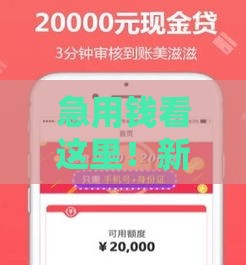 急用钱看这里！新口子申请5000贷款哪家靠谱？实测推荐3家