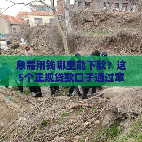 急需用钱哪里能下款？这5个正规贷款口子通过率高！