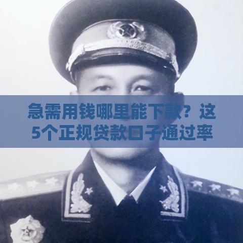 急需用钱哪里能下款？这5个正规贷款口子通过率高！